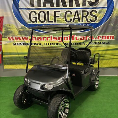 2019 Carbon Metallic 4-Passenger Vehicle