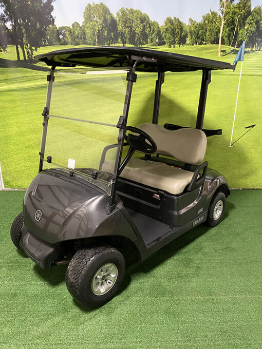 2021 Carbon Metallic Electric Golf Car