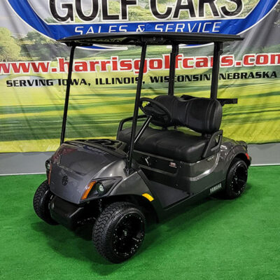 2025 Carbon Metallic Gas Golf Car