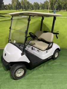 2017 Glacier White Gas Golf Car