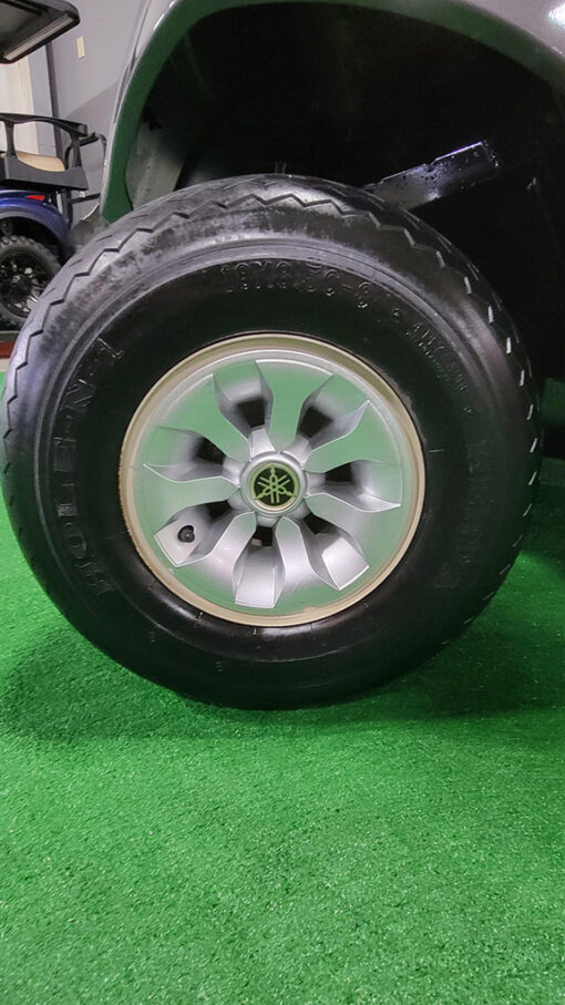 2018 Carbon Metallic Gas Golf Car