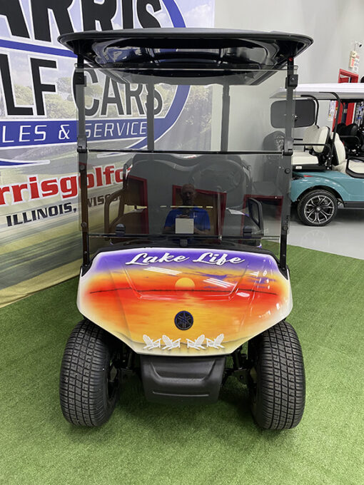 2018 Yamaha Drive 2 Electric Fleet Custom Lake Life 4-Passenger Vehicle - Image 2