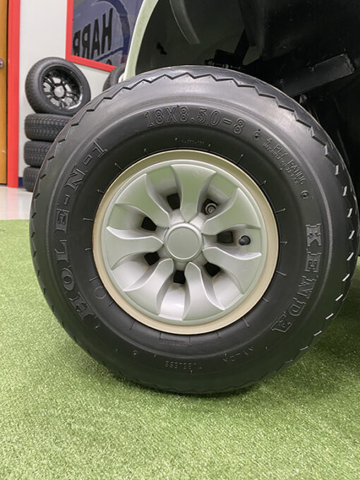 2019 Glacier White Gas Golf Car