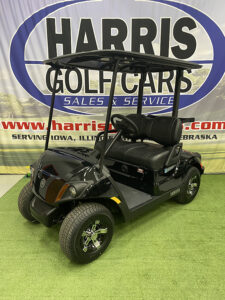 2024 Onyx Metallic Electric Golf Car