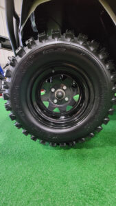 2023 UMAX Rally Glacier White Vehicle